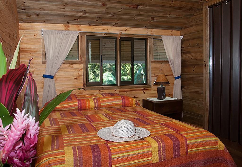 Pirate Cove Hotel Drake Bay Room photo